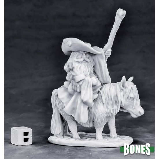 Dwarf Wizard Mounted
