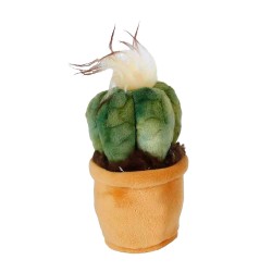 Take Me Home Knuffel Plant - Aloë Vera  12-17Cm