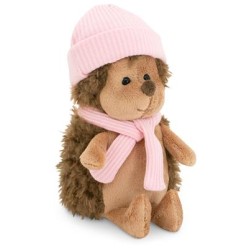 Egel Met Roze Muts Egel Met Roze Muts