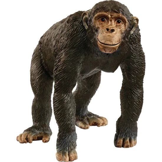 Schleich Wild Life Chimpanzee