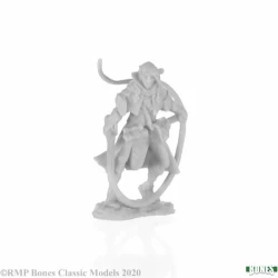 Elf Bard Balthual Elf Bard Balthual