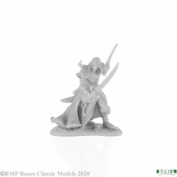 Elf Ranger Aravir Elf Ranger Aravir