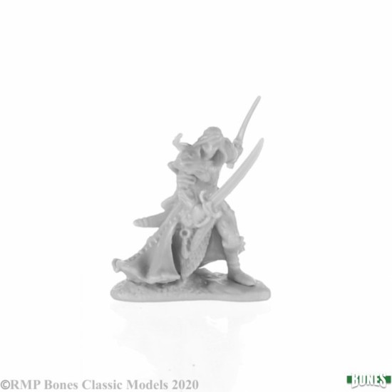 Elf Ranger Aravir