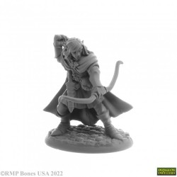 Elf Ranger Lanaerel Grayleaf
