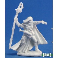Elf Warlock Elquin