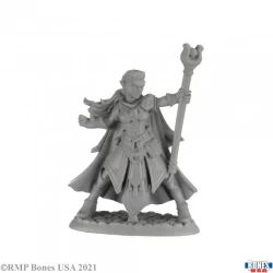 Elf Wizard Alaedril Elf Wizard Alaedril