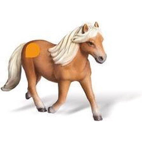 Falabella Merrie Falabella Merrie