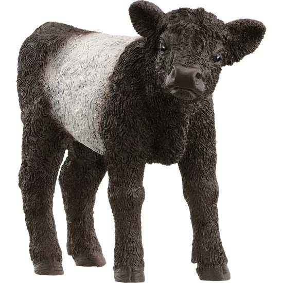 Schleich Farm World Galloway Kalf