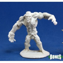Flesh Golem