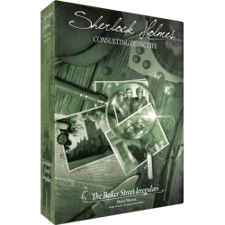 Sherlock Holmes Consulting Detective The Irregular