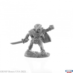 Gnome Rogue Ingrid (77167) Gnome Rogue Ingrid (77167)