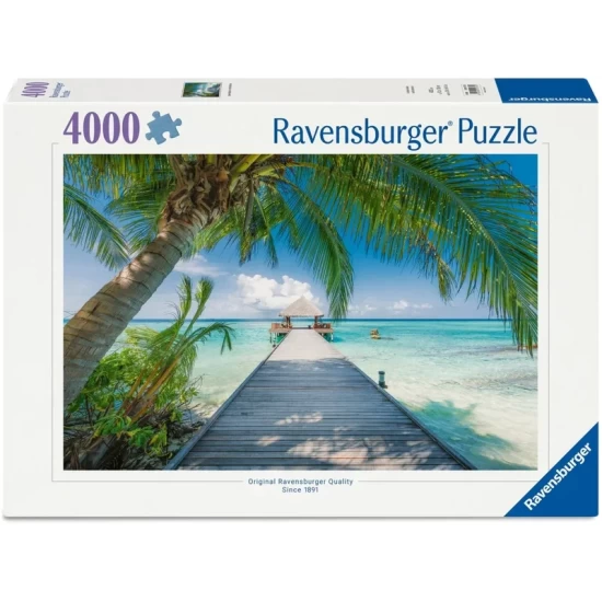 Dream Beach On The Malededives (4000)
