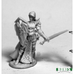 Half-Elf Paladin Valkyrie Mara Half-Elf Paladin Valkyrie Mara