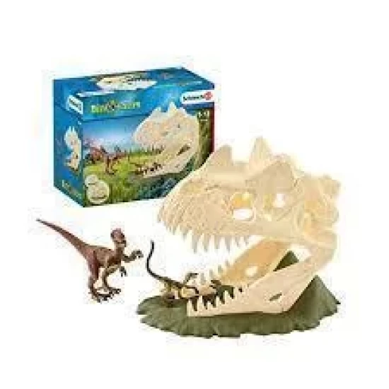 Grote Schedelvalstrik Met Velociraptor