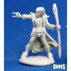 Hellborn Wizard Damien Hellborn Wizard Damien