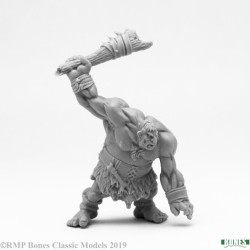 Hill Giant Lowland Warrior Hill Giant Lowland Warrior