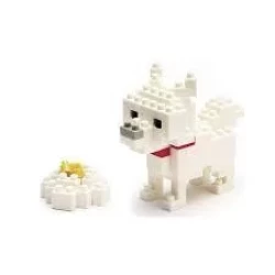 Hokkaido Dog