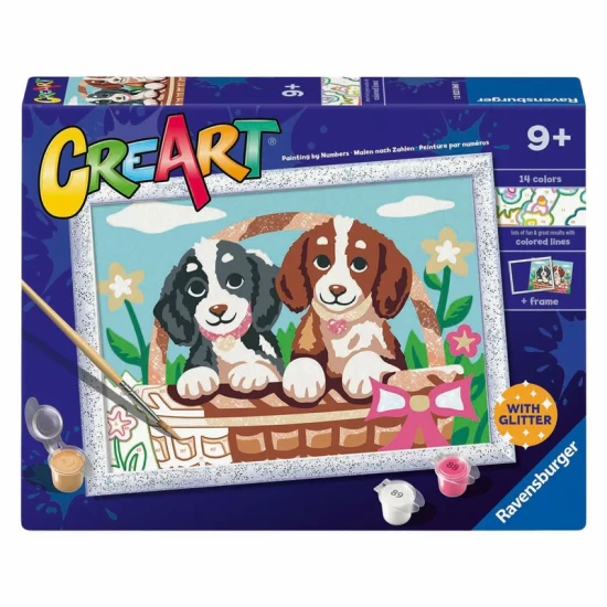 Honden In Een Mandje Honden In Een Mandje