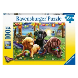 Honden Picknick (100Xxl)