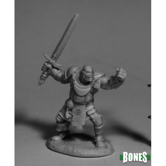 Human Fighter Bandit Bully