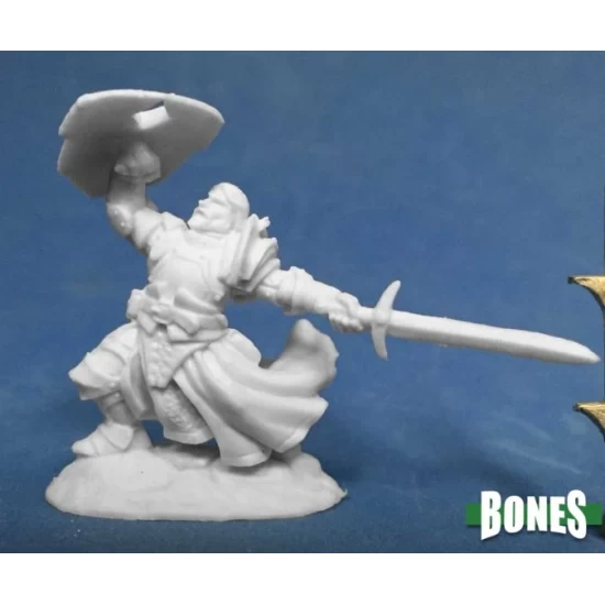 Human Fighter Sir Kranzhel