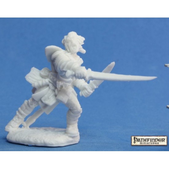Human Fighter Valeros