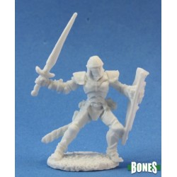 Human Paladin Barnabas Human Paladin Barnabas