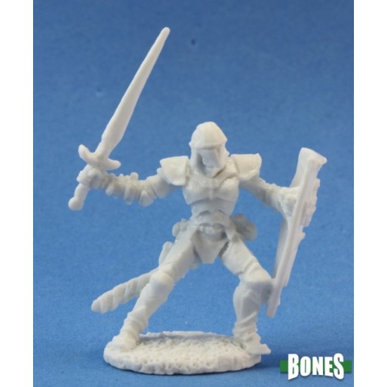 Human Paladin Barnabas