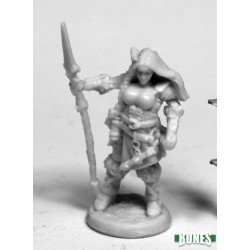 Human Paladin Bregan Human Paladin Bregan