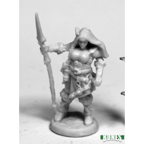 Human Paladin Bregan