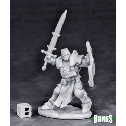 Human Paladin Champion Human Paladin Champion