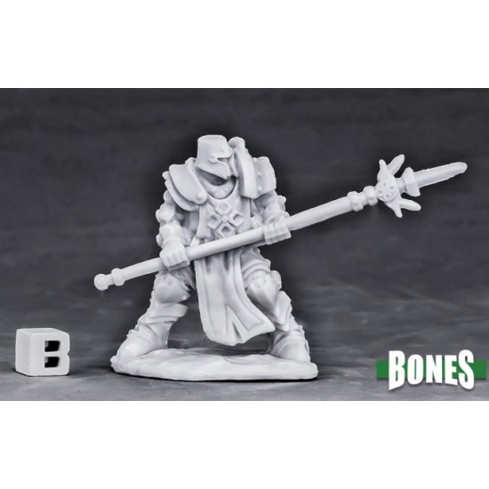 Human Paladin Defender
