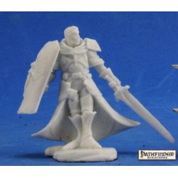 Human Paladin Holy Vindicator Human Paladin Holy Vindicator