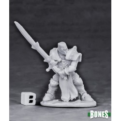 Human Paladin Justifier