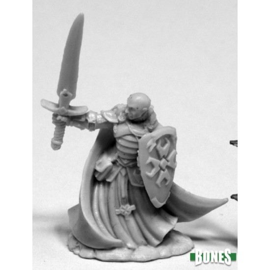 Human Paladin Sir Malcolm