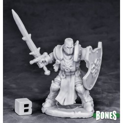 Human Paladin Swordsman Human Paladin Swordsman