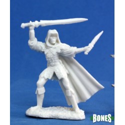 Human Rogue Assassin Danar Human Rogue Assassin Danar