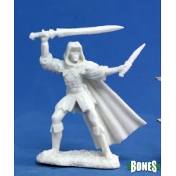 Human Rogue Assassin Danar Human Rogue Assassin Danar