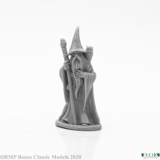 Human Wizard Anuminar
