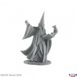 Human Wizard Darius Human Wizard Darius