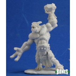 Ice Troll Ice Troll