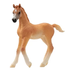 Schleich Horse Club Arabisch Veulen