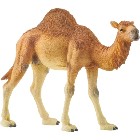 Schleich Wild Life 14832 Dromedaris