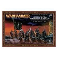 Dark Elves Black Ark Corsairs --- Temporarily Out Of Stock Bij Gw ---- Webstore Exclusive