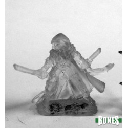 Invisible Rogue Invisible Rogue