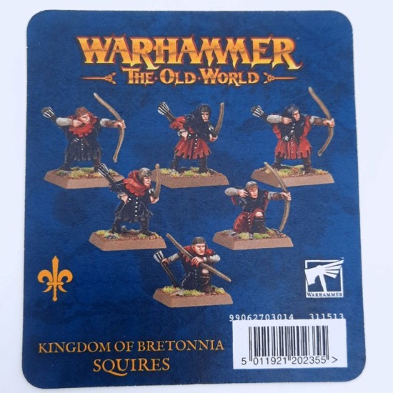 Kingdom Of Bretonnia: Squires ---- Webstore Exclusive