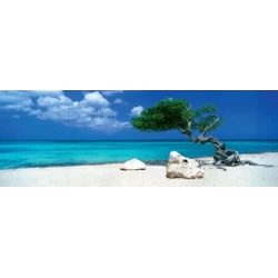 Puzzel Divi Divi Tree1000 Pano.heye29399 Puzzel Divi Divi Tree1000 Pano.heye29399