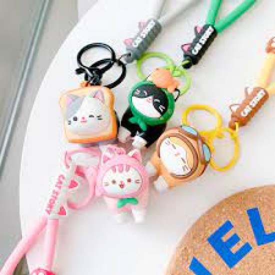 Keyring Cat Story