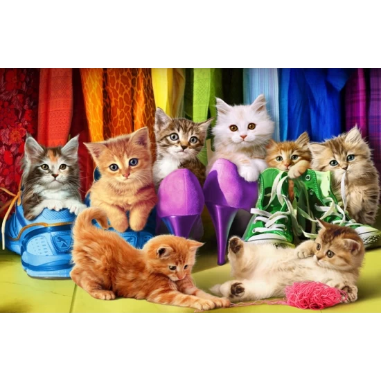 Kitten Pride (1000)