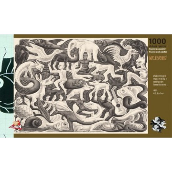 Vlakvulling Ii – M.c. Escher (1000)